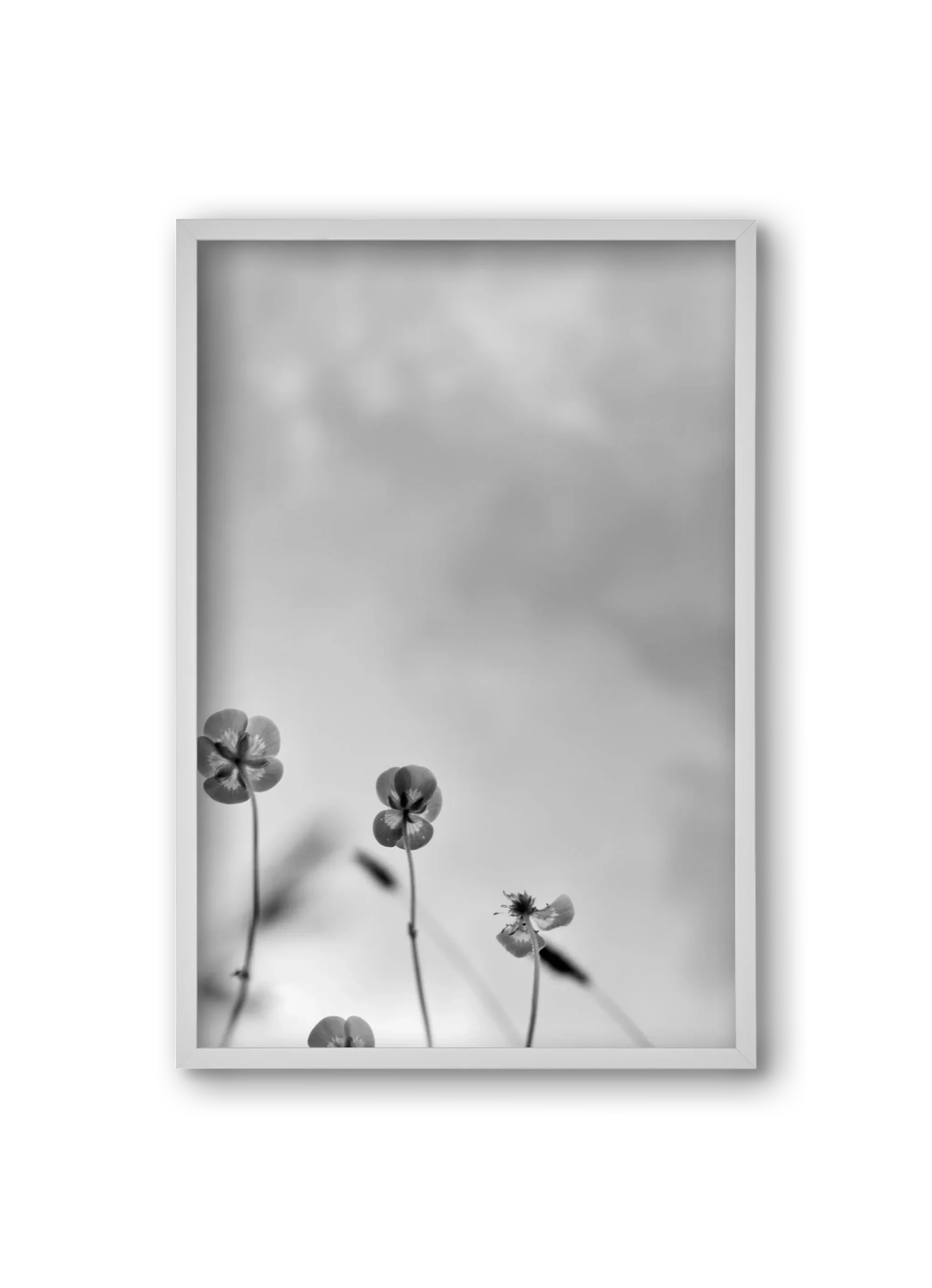 Buttercups - artbridge