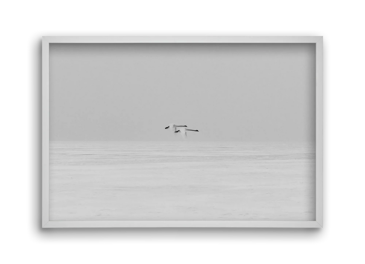 Parallel - artbridge