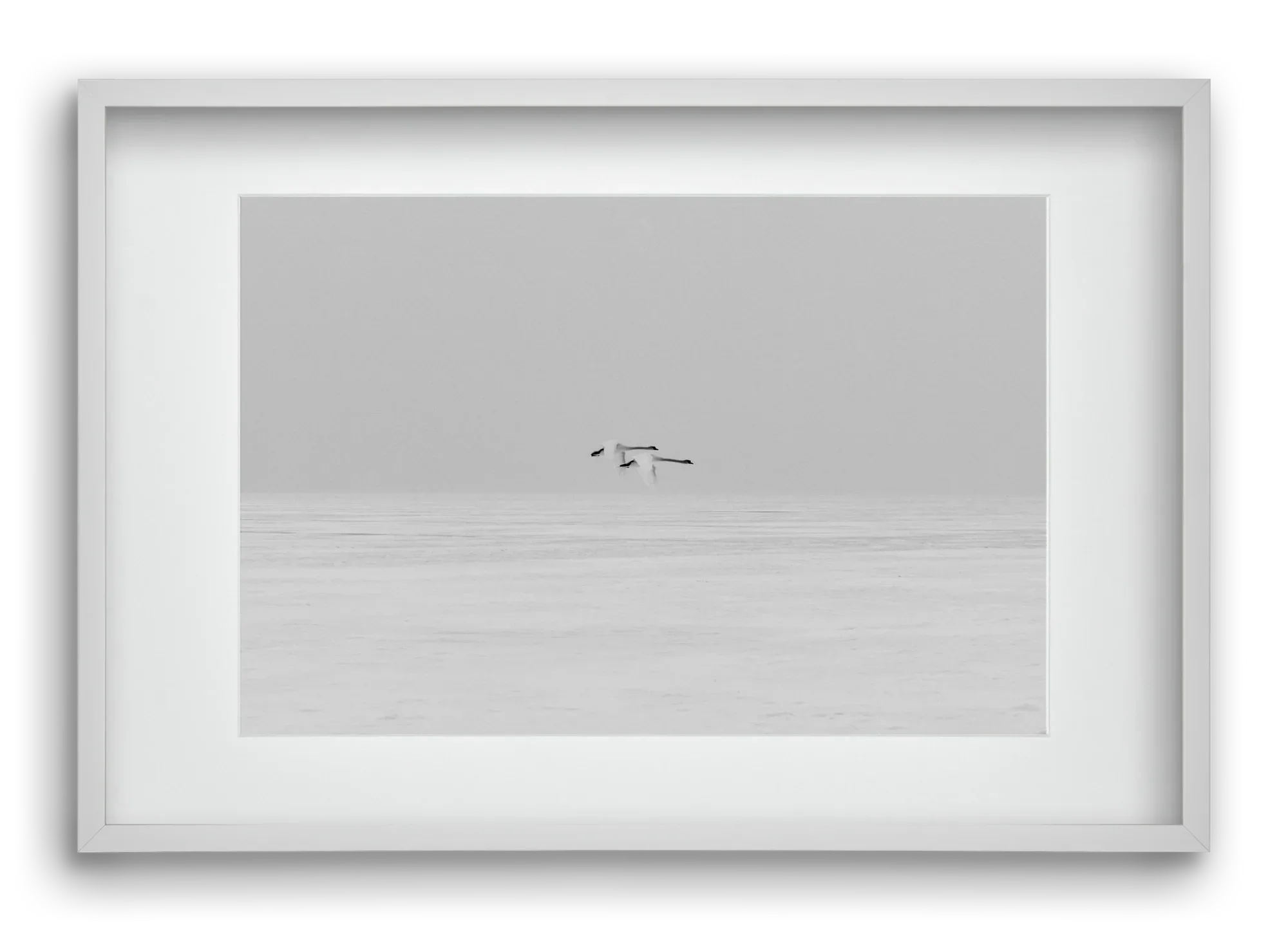 Parallel - artbridge