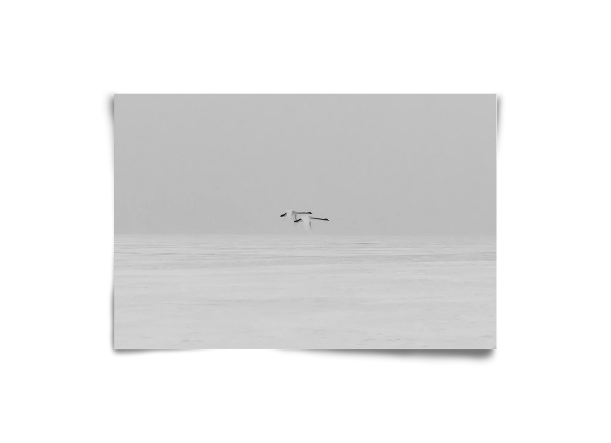 Parallel - artbridge