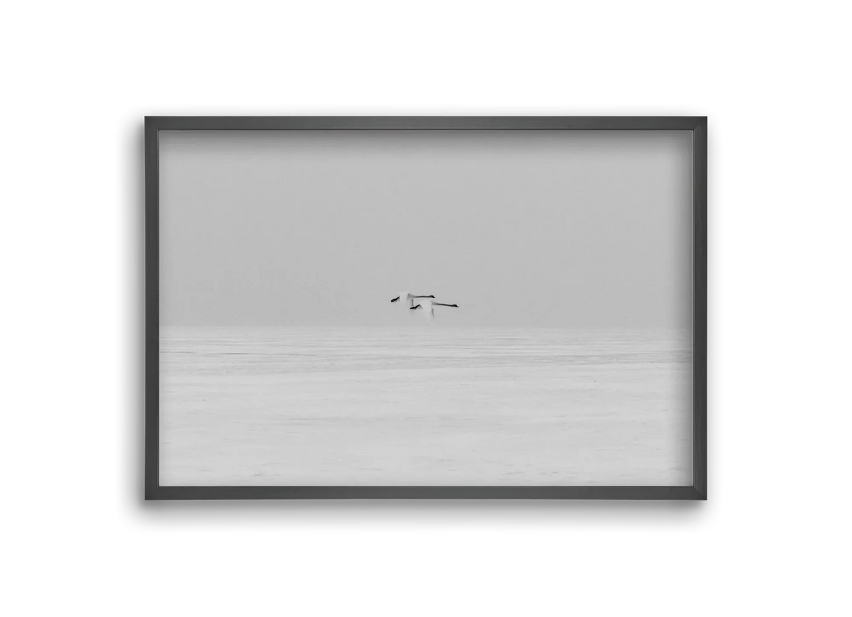 Parallel - artbridge