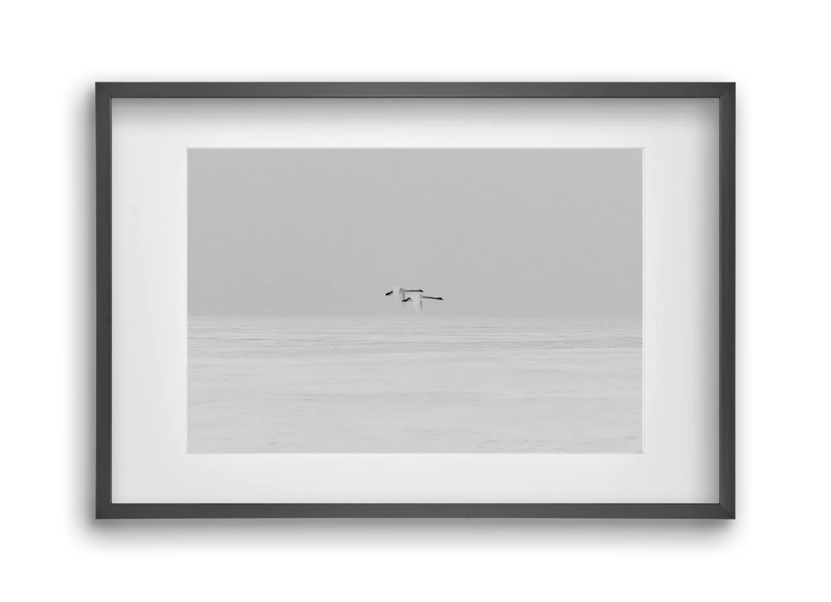 Parallel - artbridge