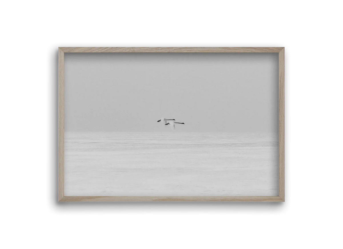 Parallel - artbridge