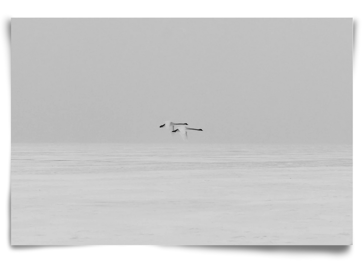 Parallel - artbridge