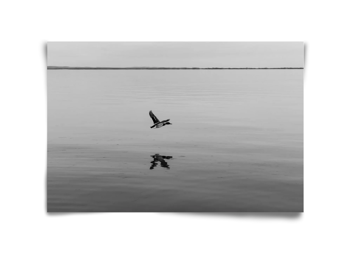 Vertigo - artbridge