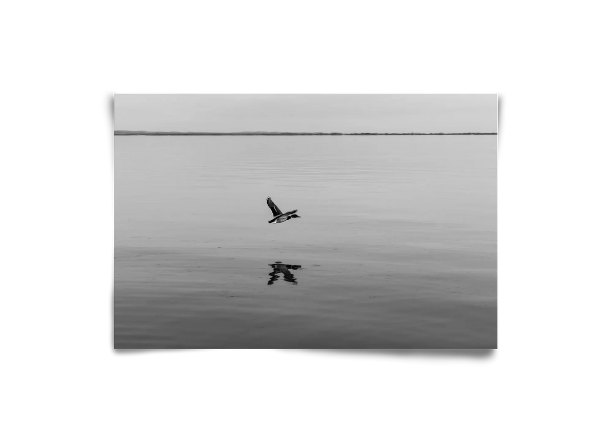 Vertigo - artbridge