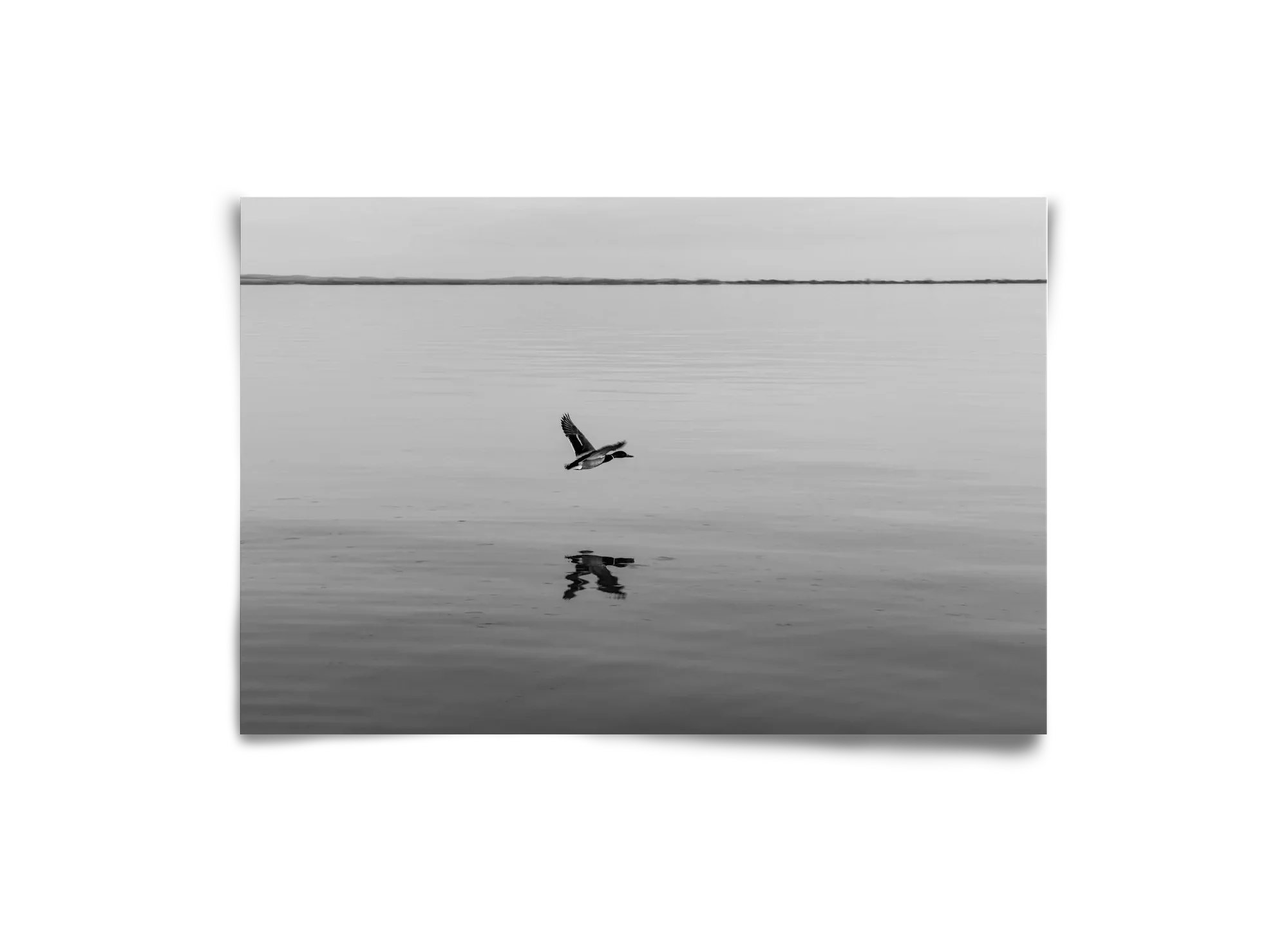 Vertigo - artbridge