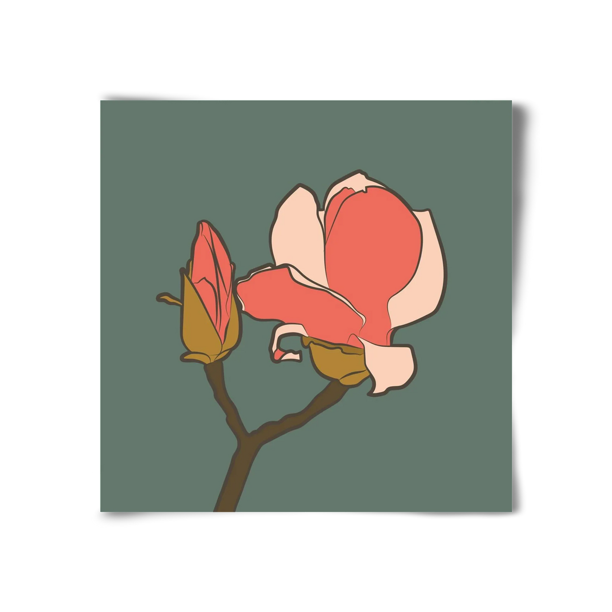 Bimbó - artbridge