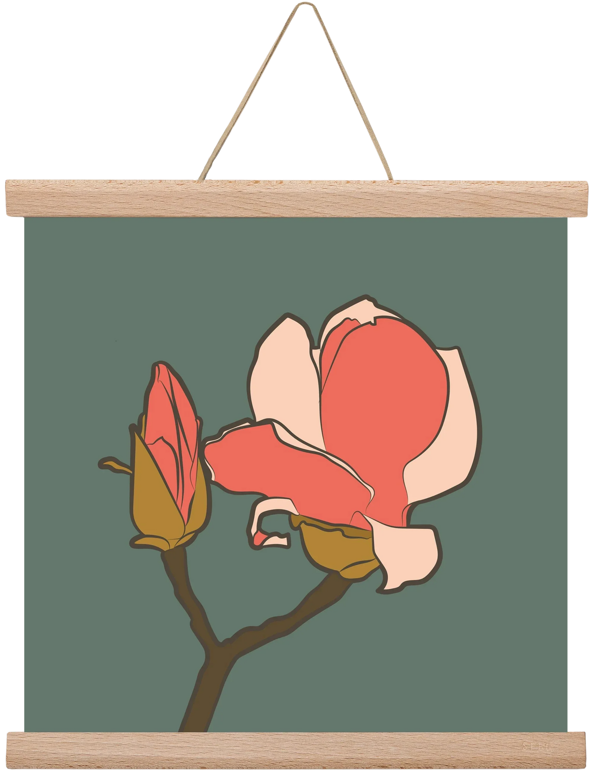Bimbó - artbridge