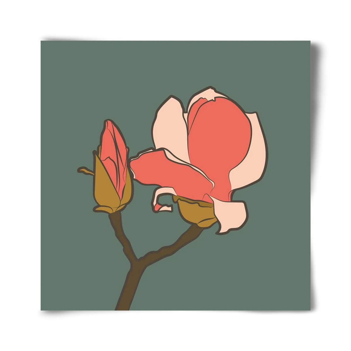 Bimbó - artbridge