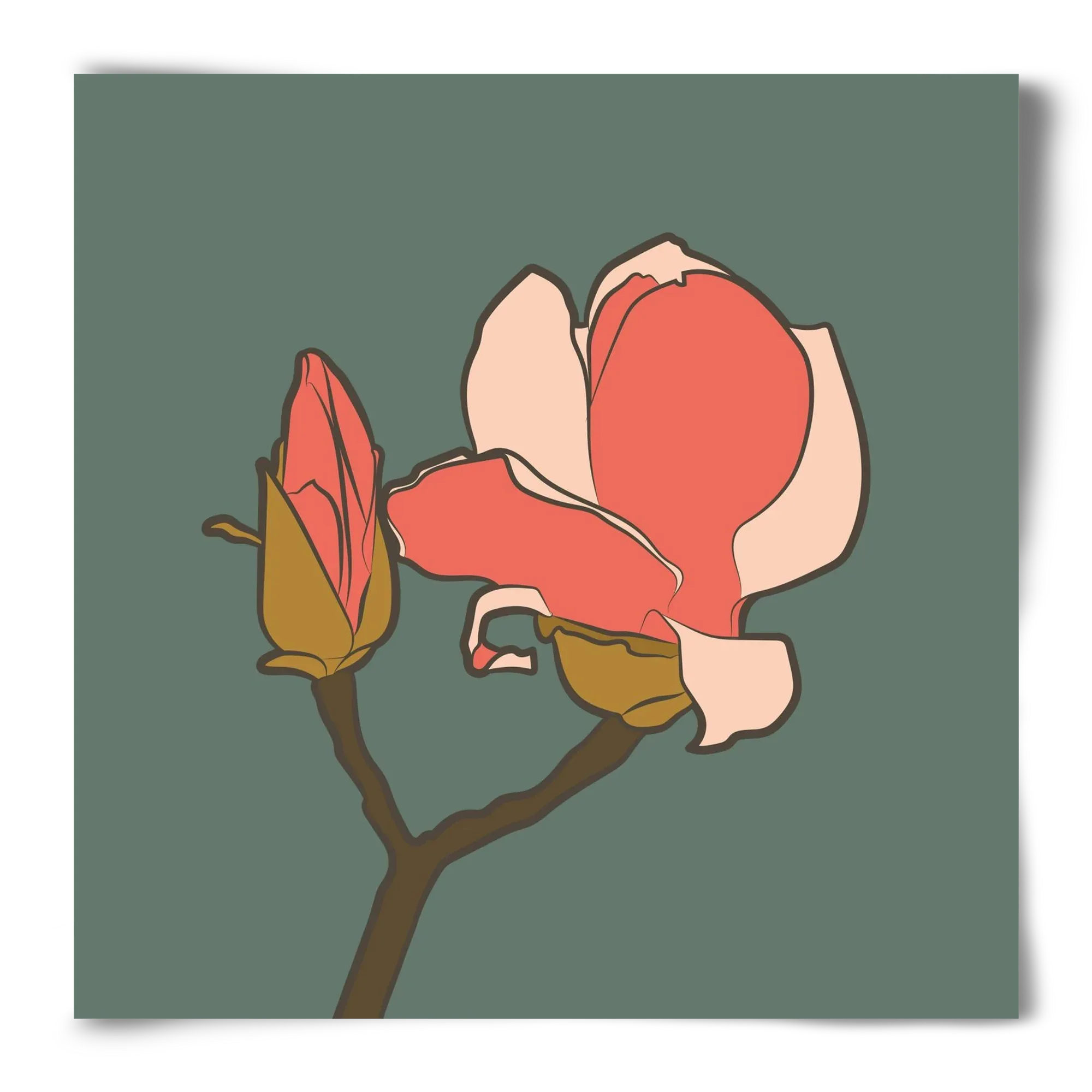 Bimbó - artbridge