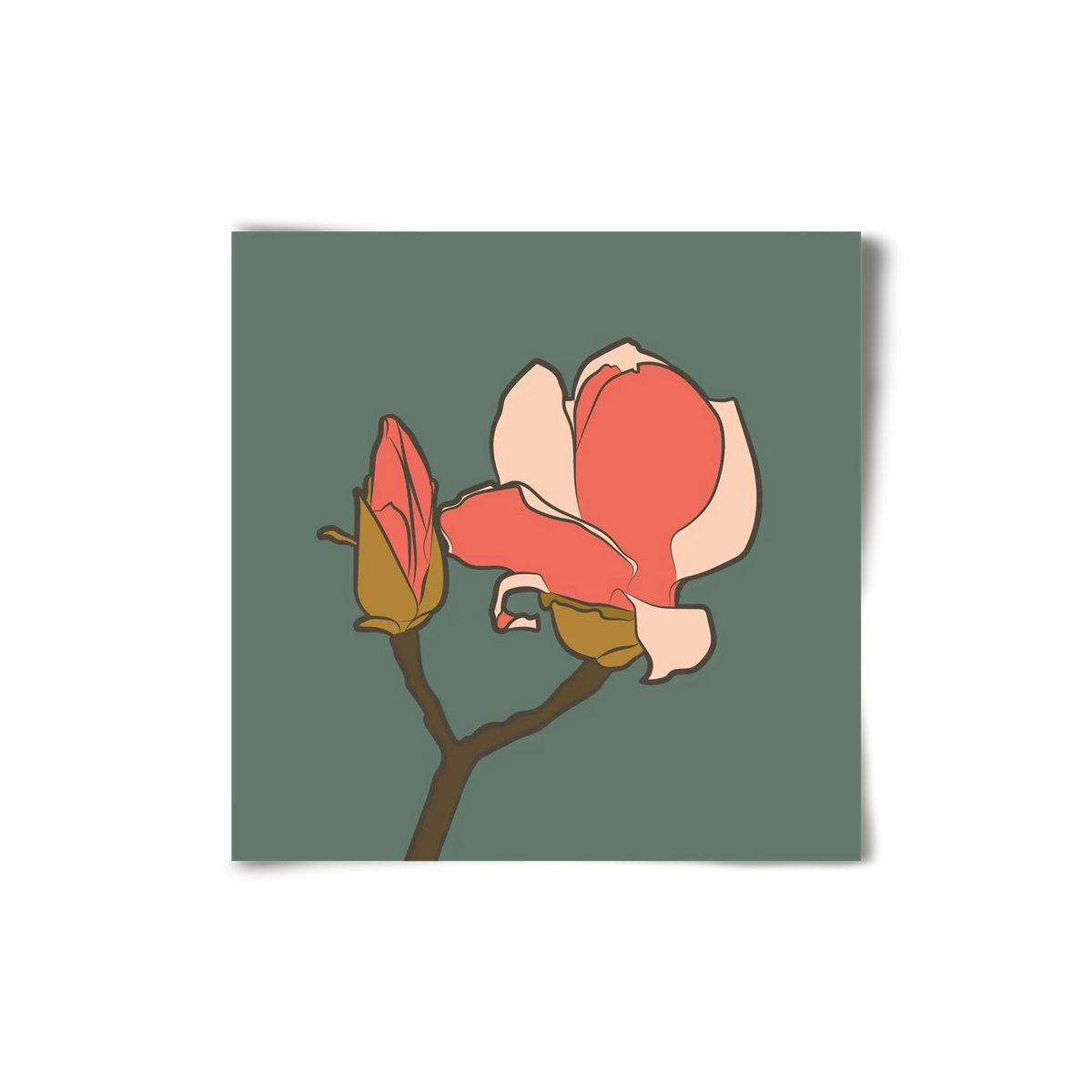 Bimbó - artbridge
