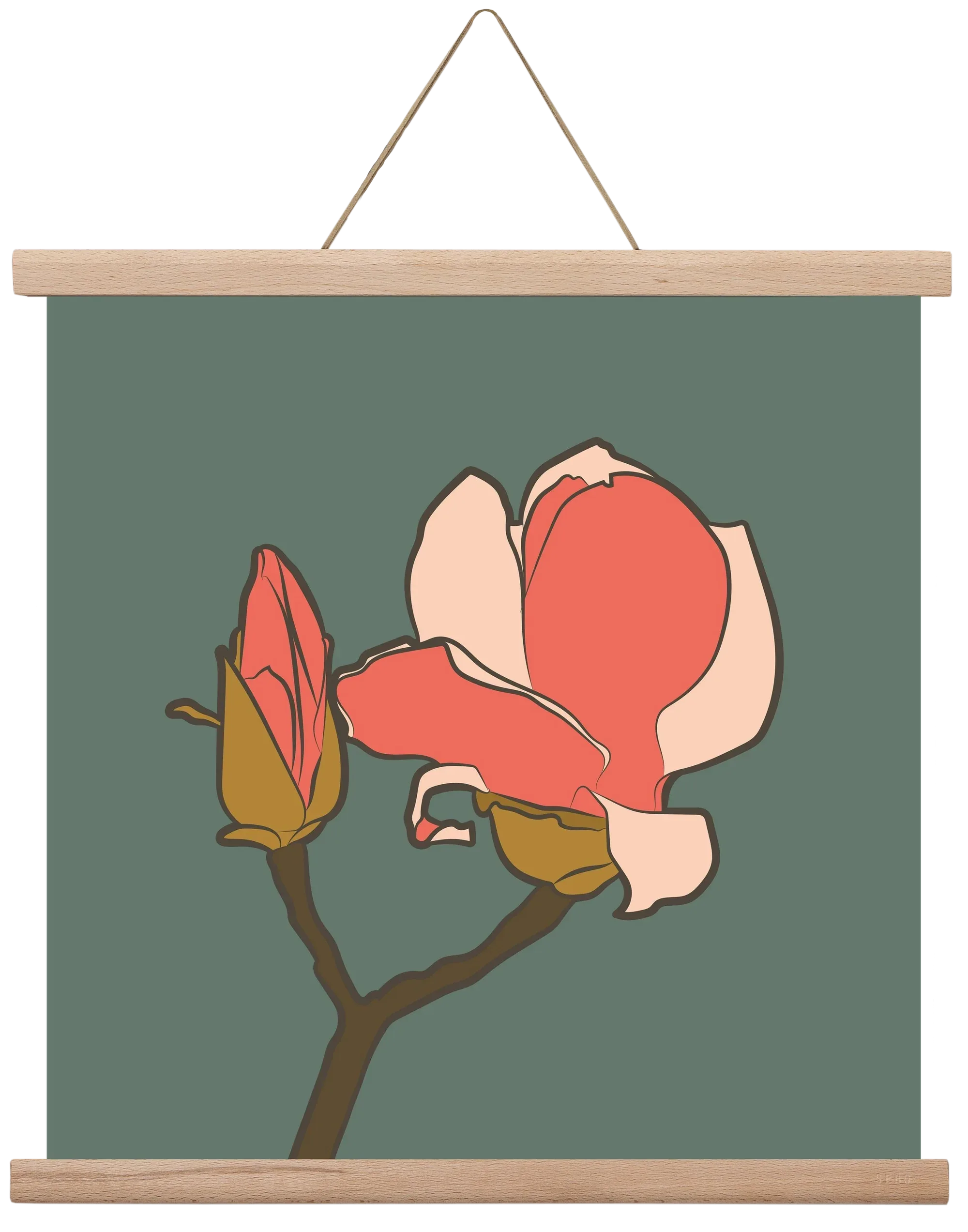 Bimbó - artbridge