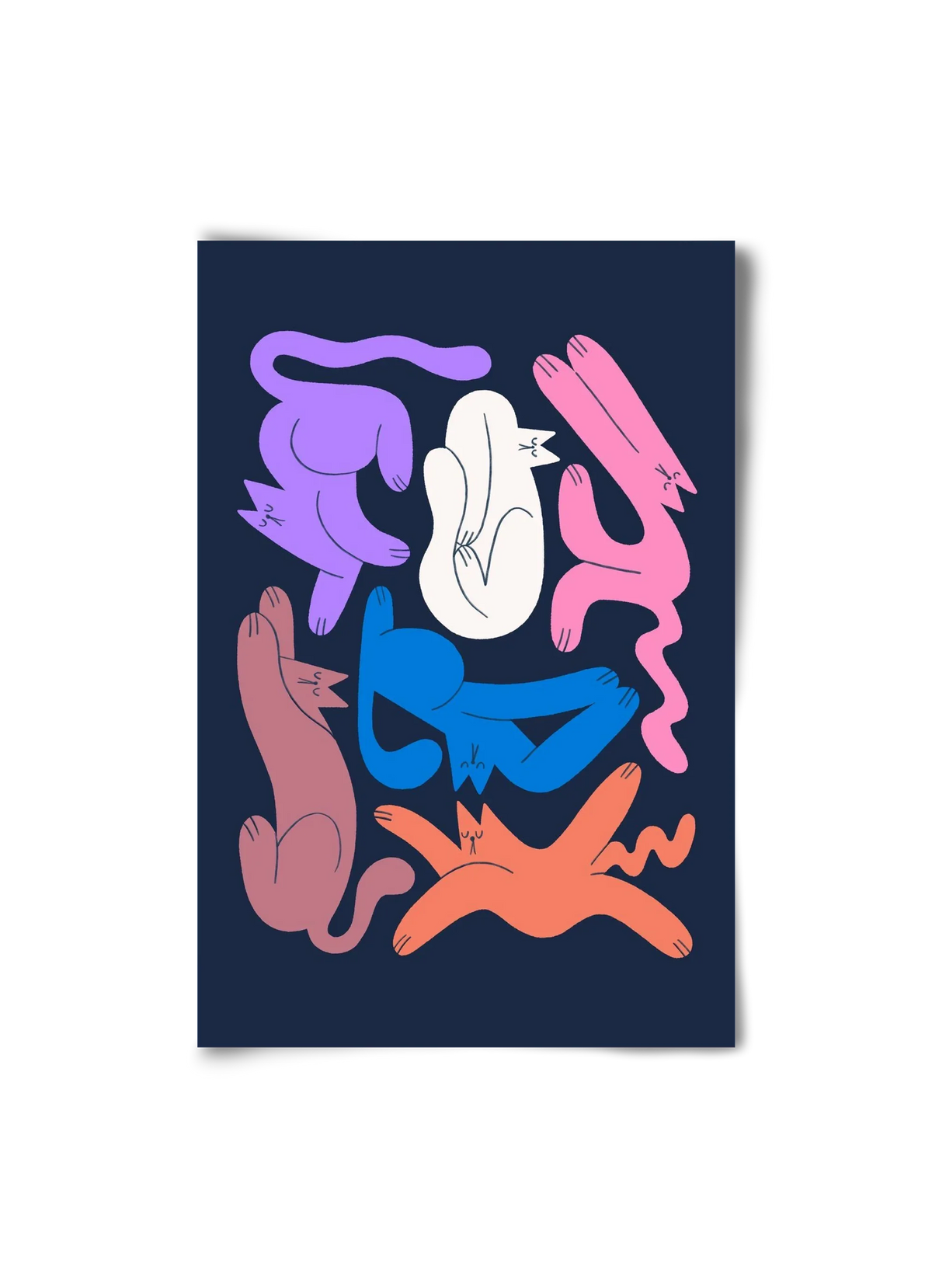 Funky Cats - artbridge