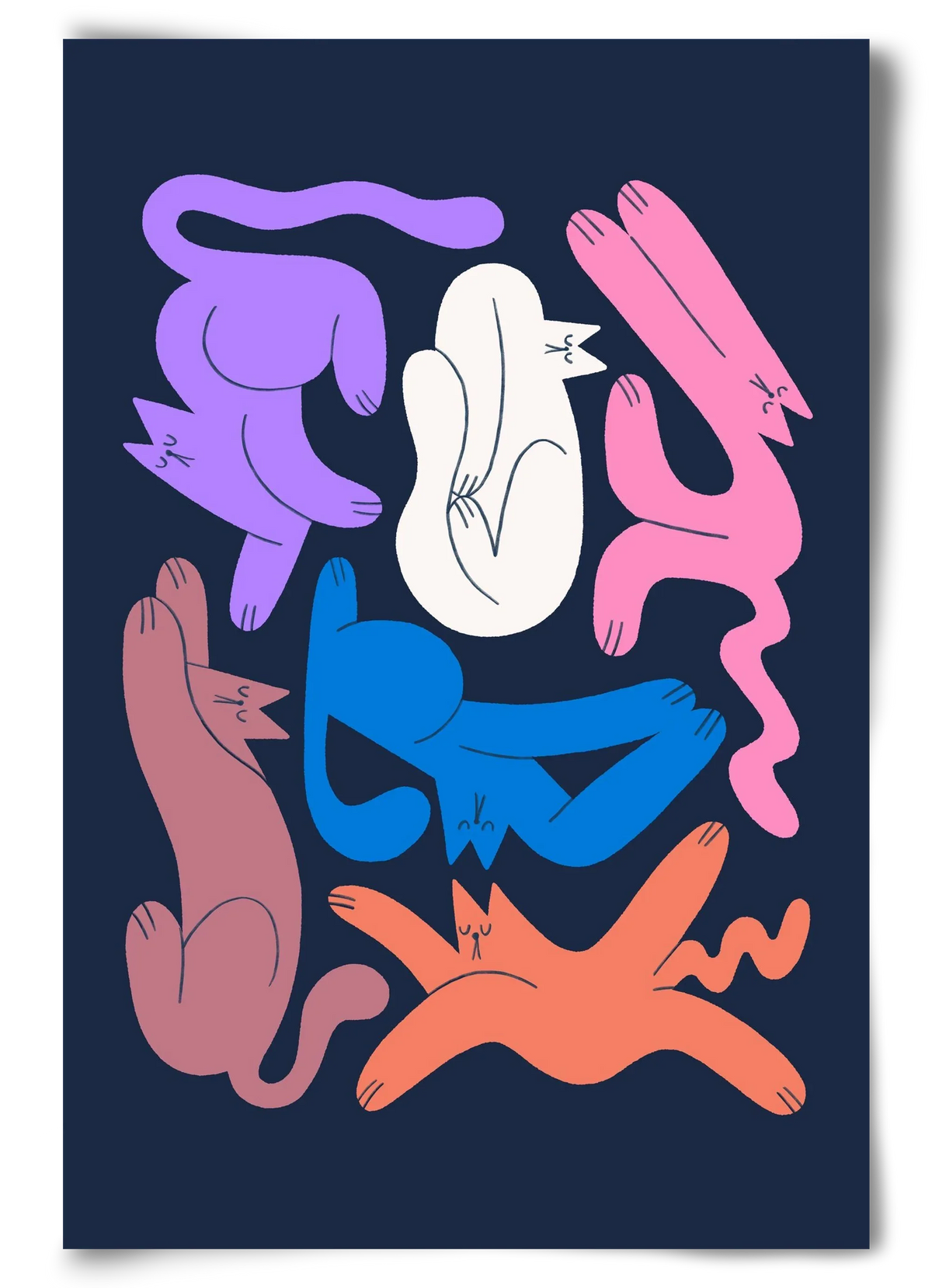 Funky Cats - artbridge