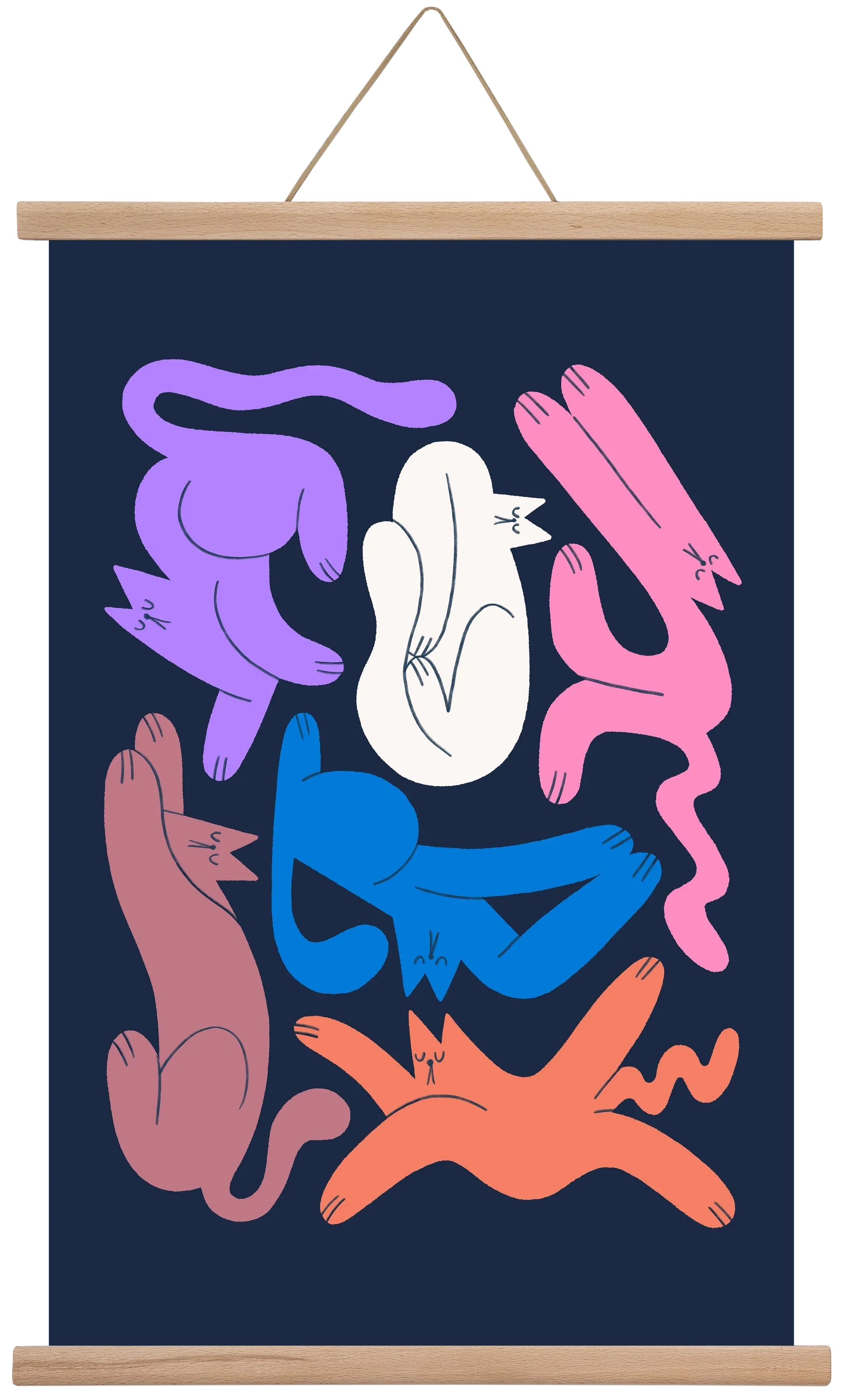Funky Cats - artbridge
