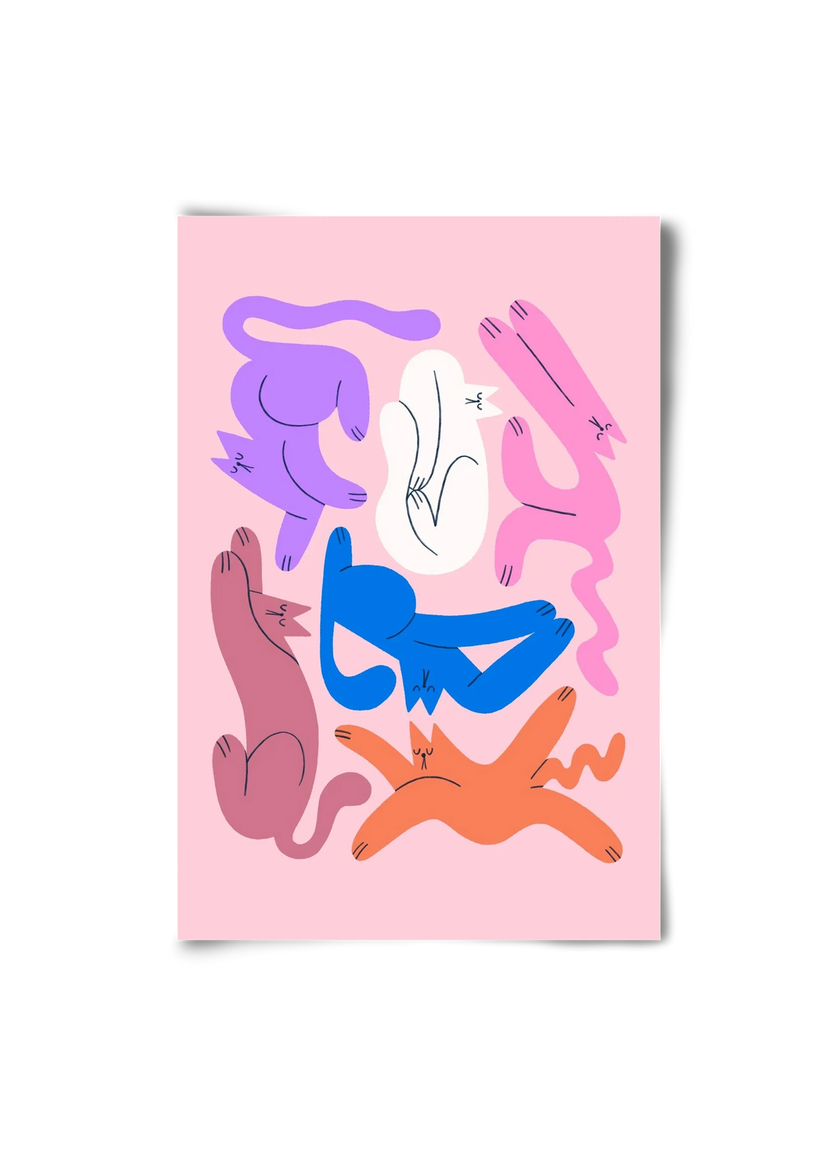 Funky Cats - Pink - artbridge