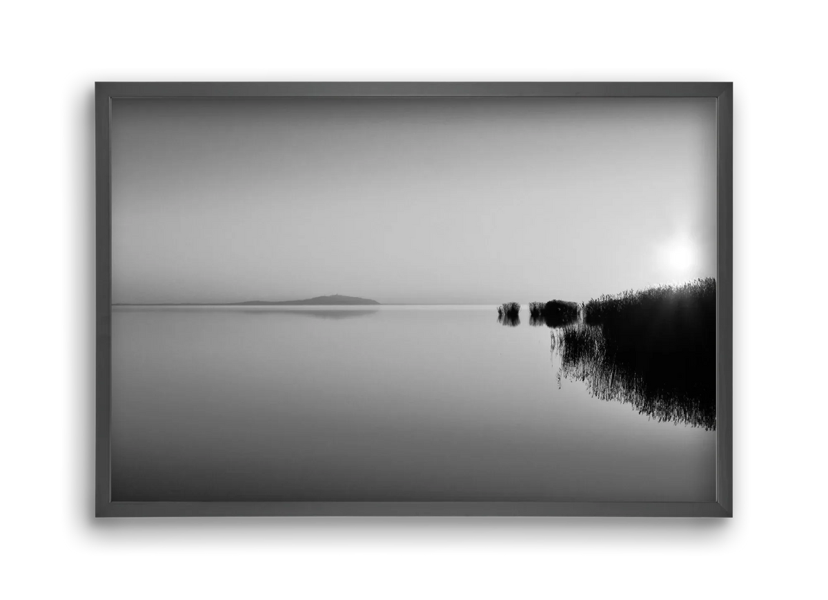 Digital Sun - artbridge