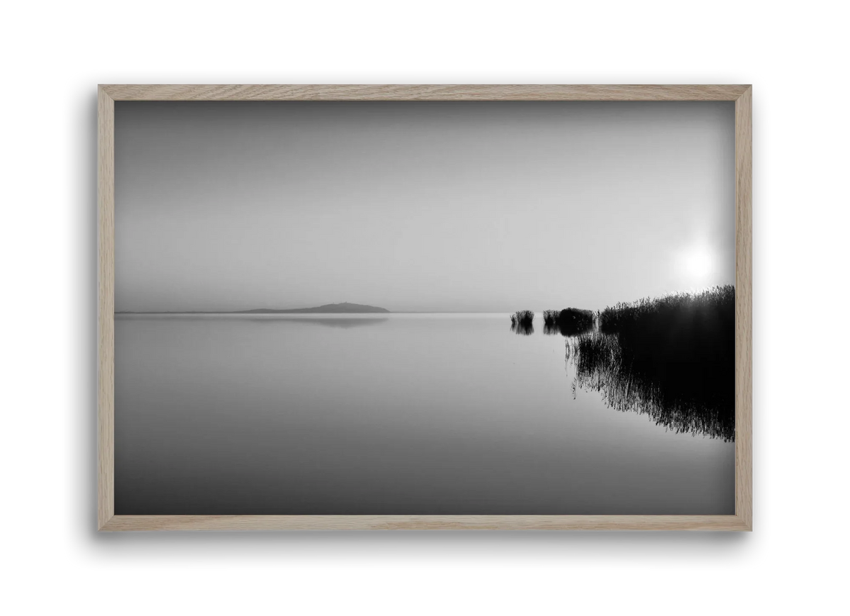 Digital Sun - artbridge