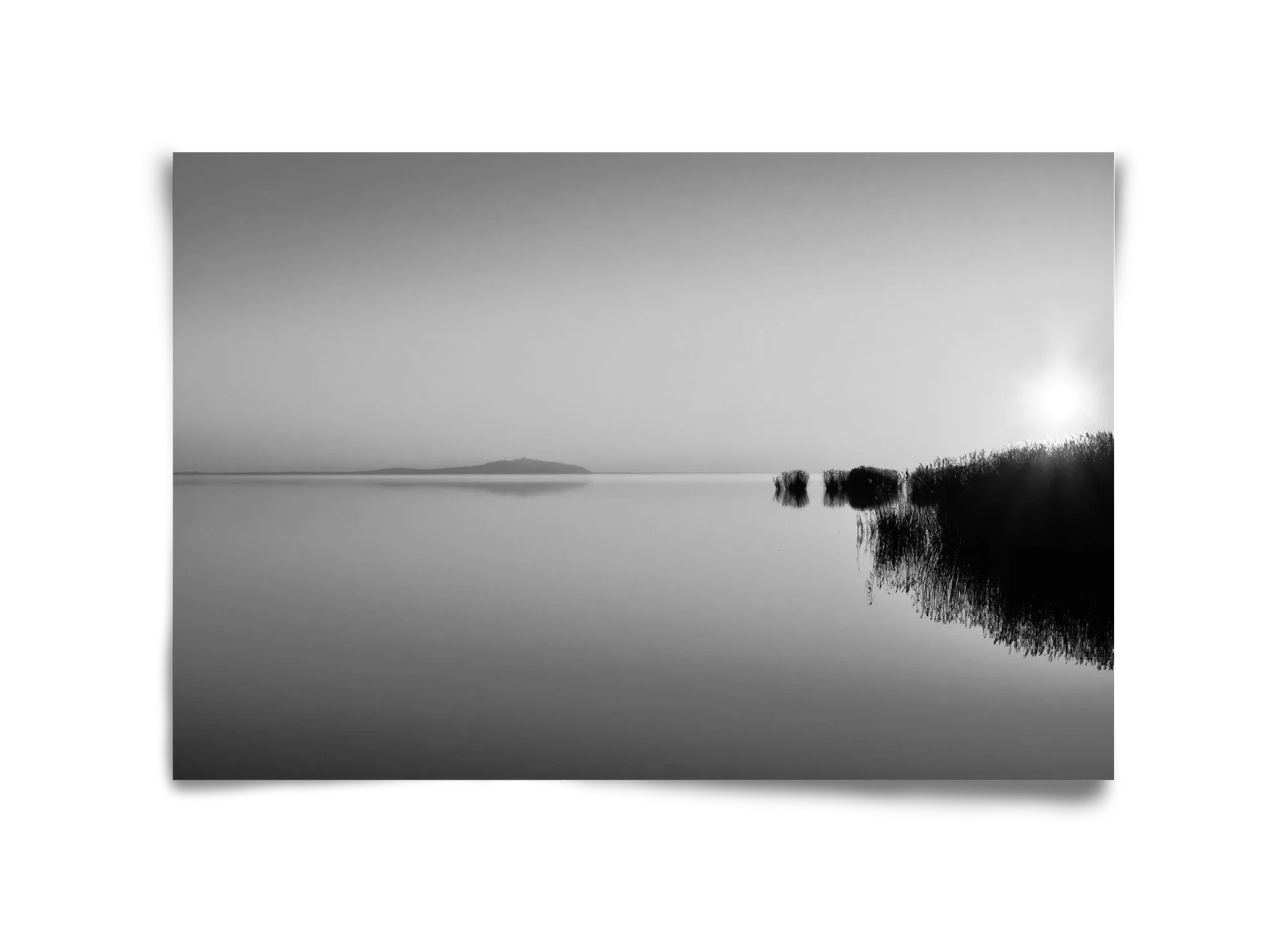 Digital Sun - artbridge