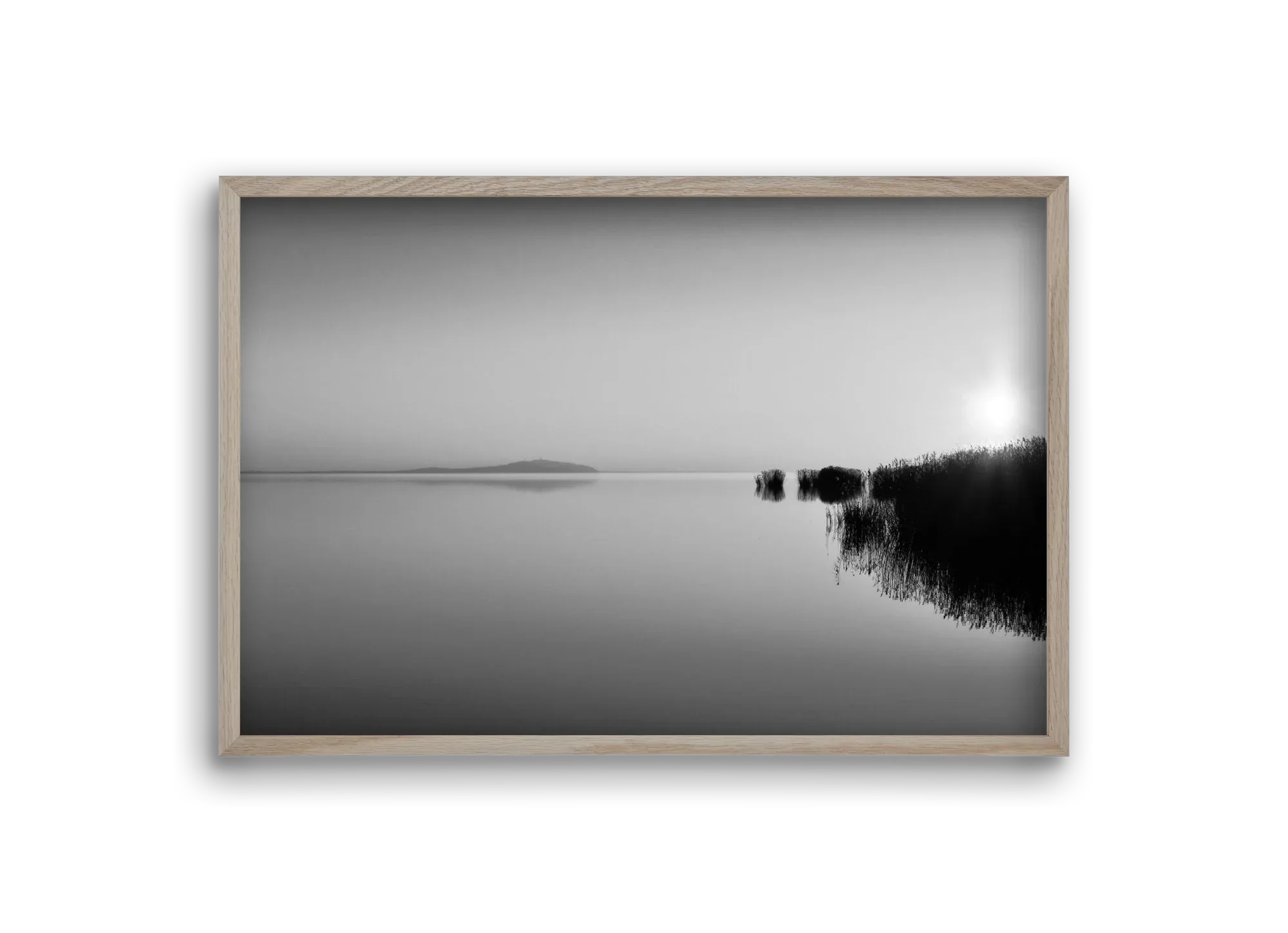 Digital Sun - artbridge