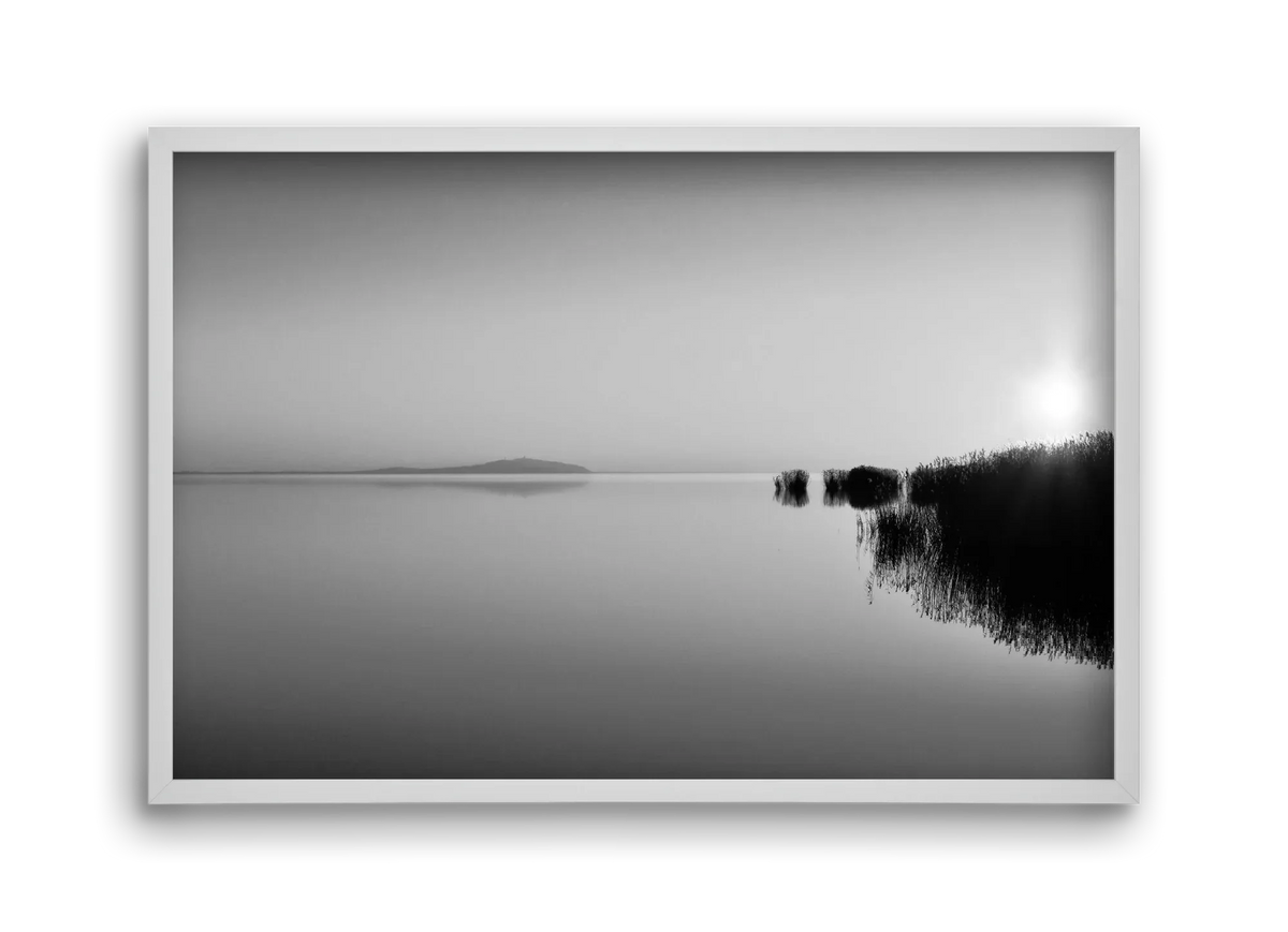 Digital Sun - artbridge
