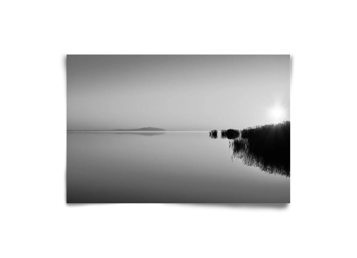 Digital Sun - artbridge