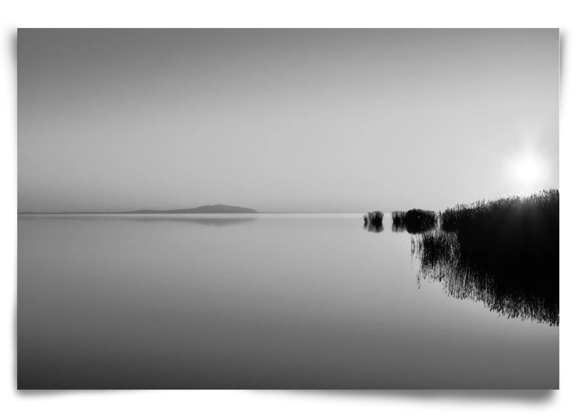 Digital Sun - artbridge