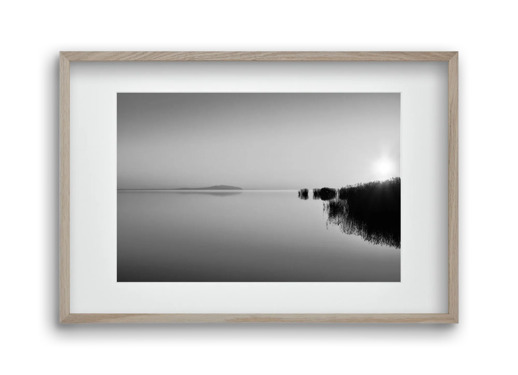 Digital Sun - artbridge
