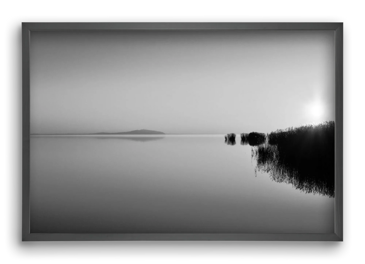 Digital Sun - artbridge