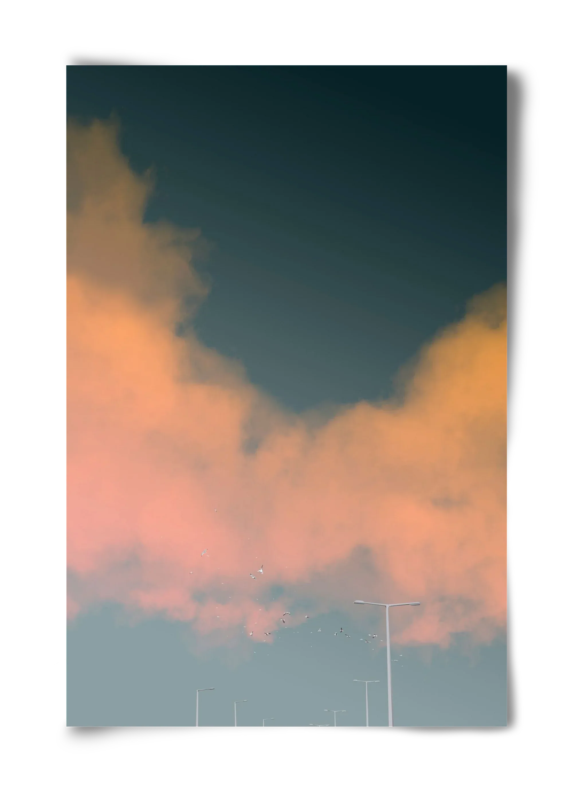 spring tuesday - artbridge