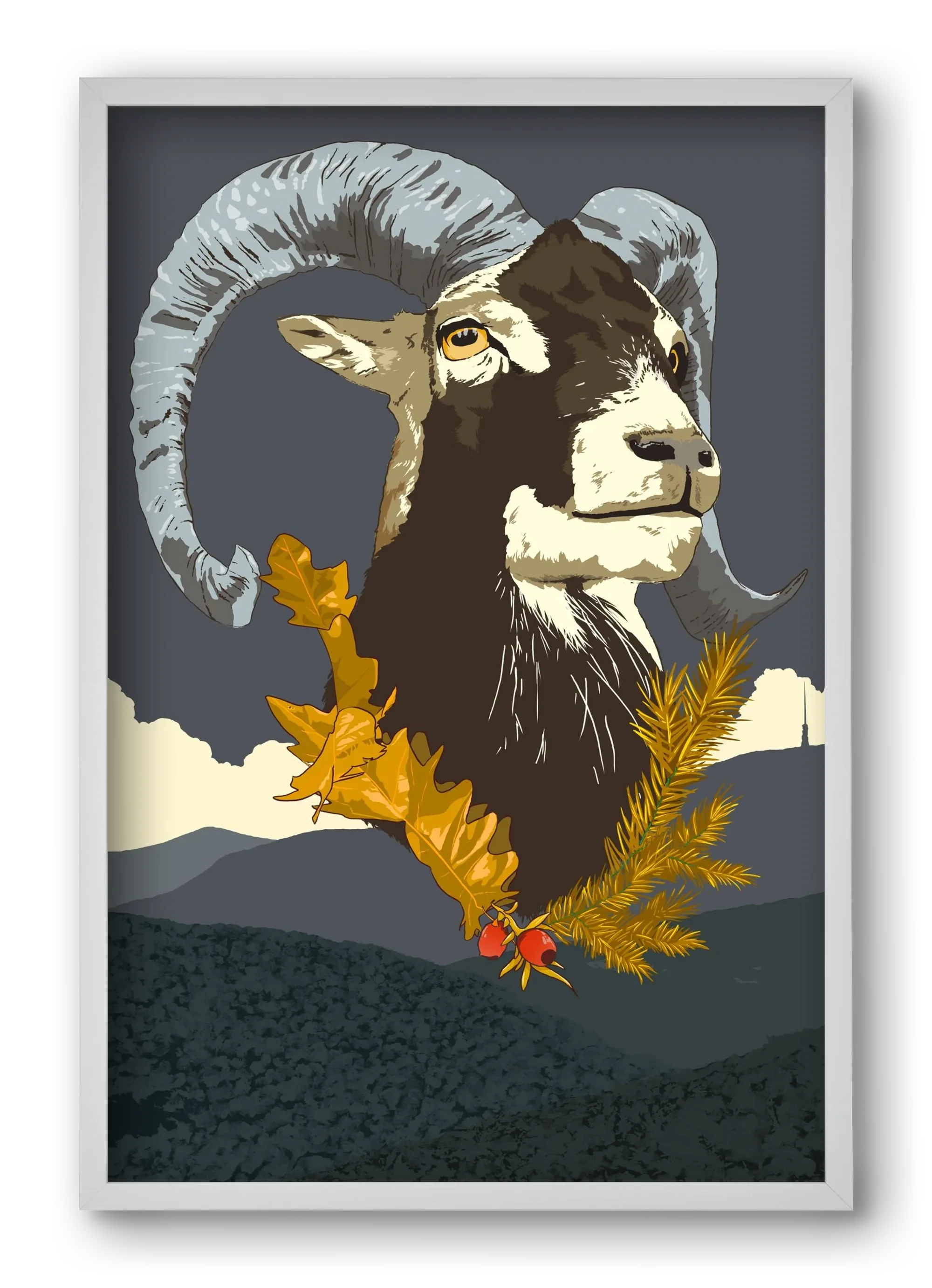 ovis - artbridge