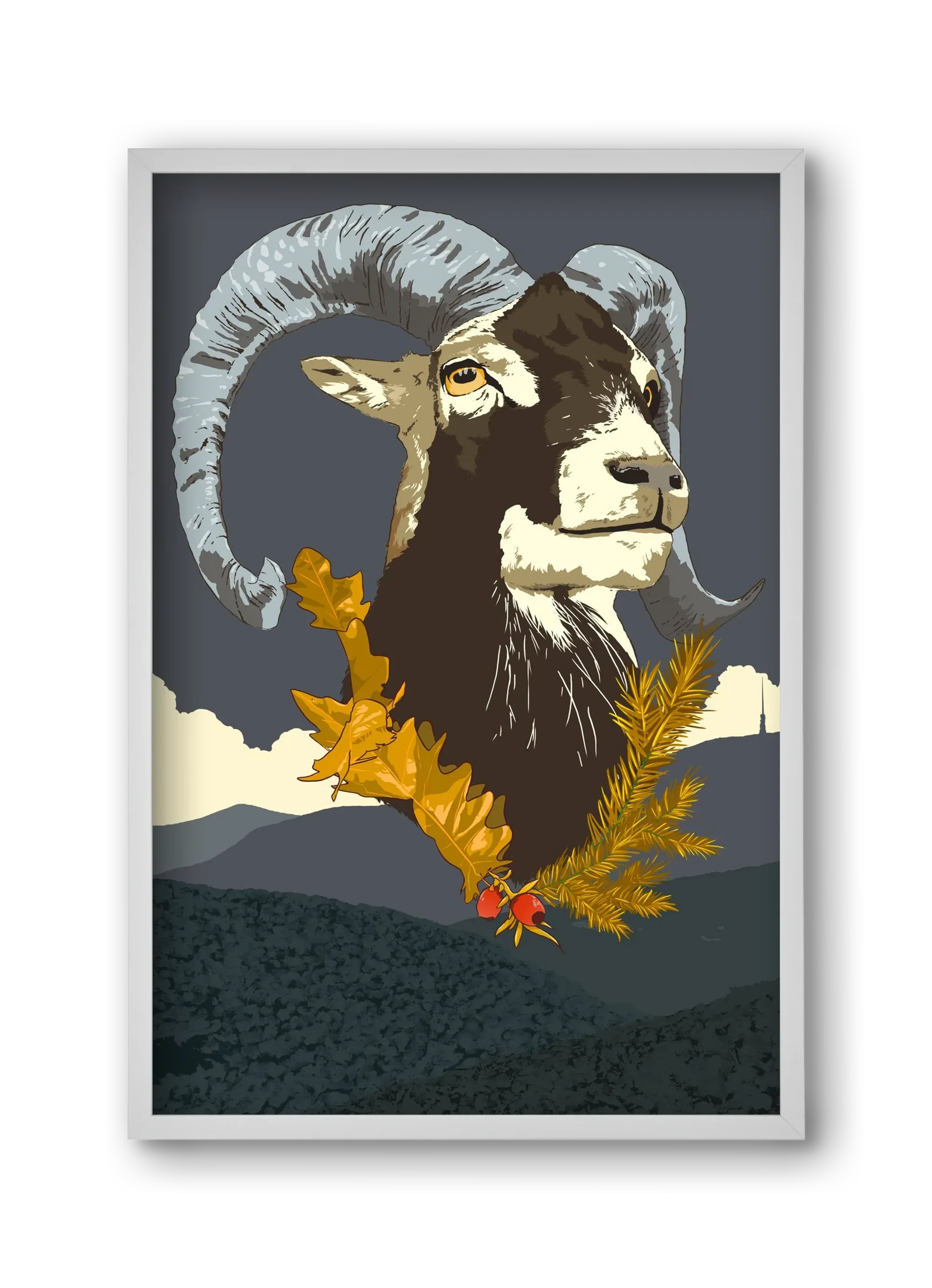 ovis - artbridge