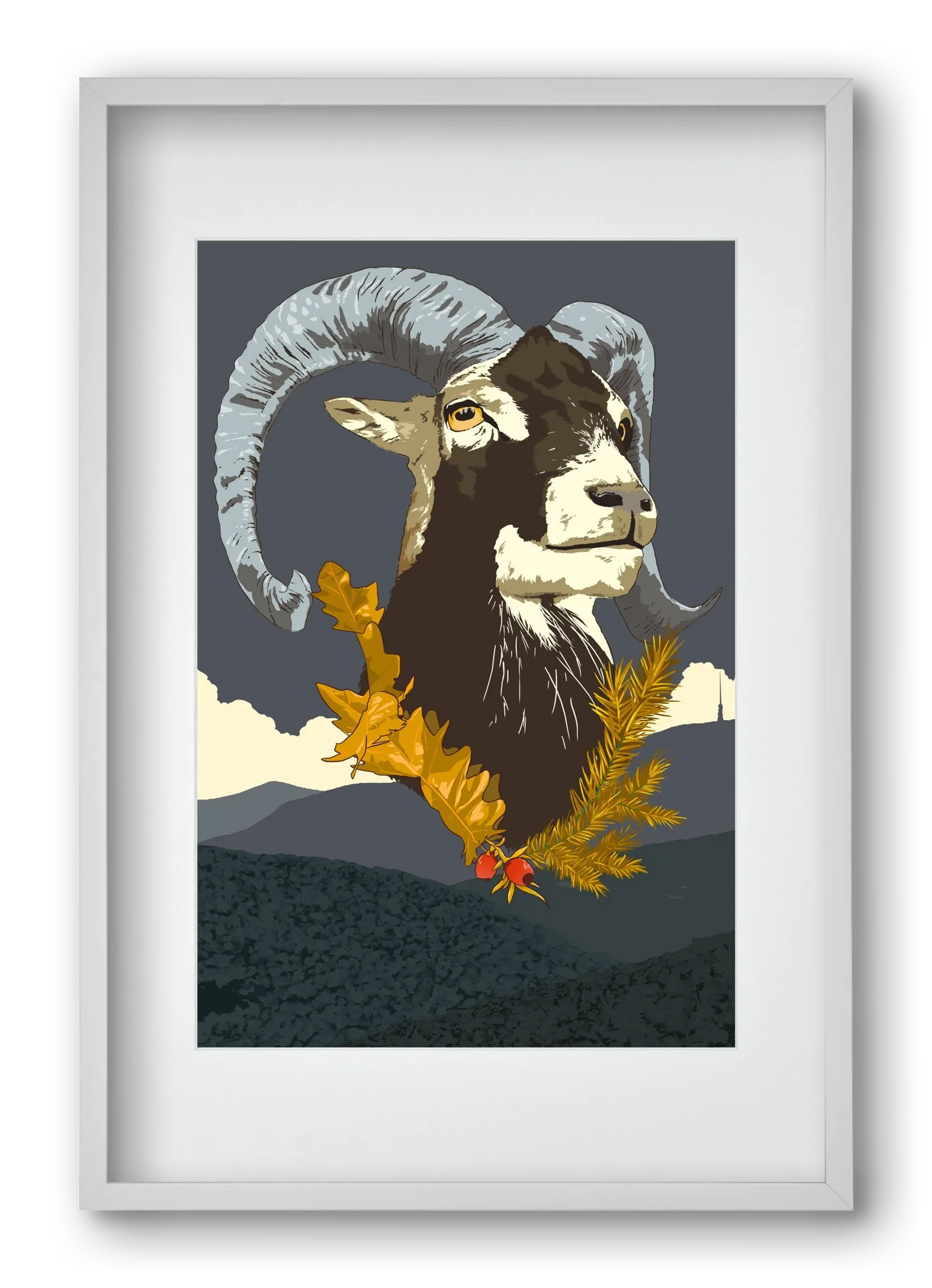 ovis - artbridge