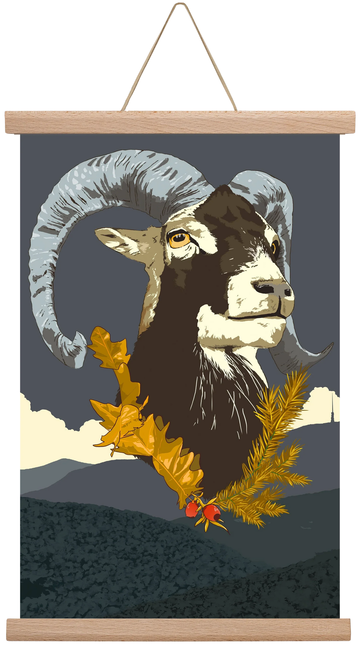 ovis - artbridge