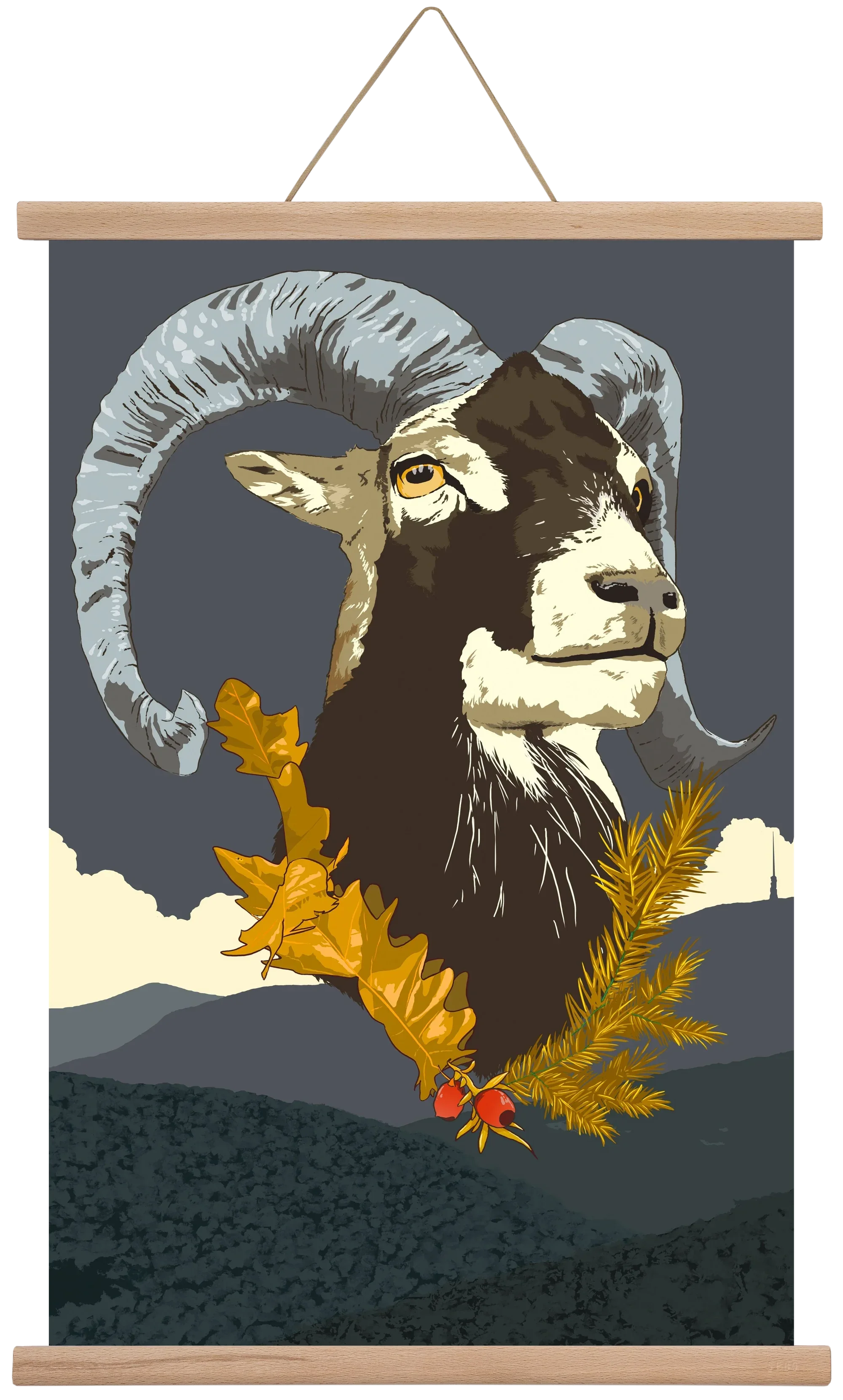 ovis - artbridge