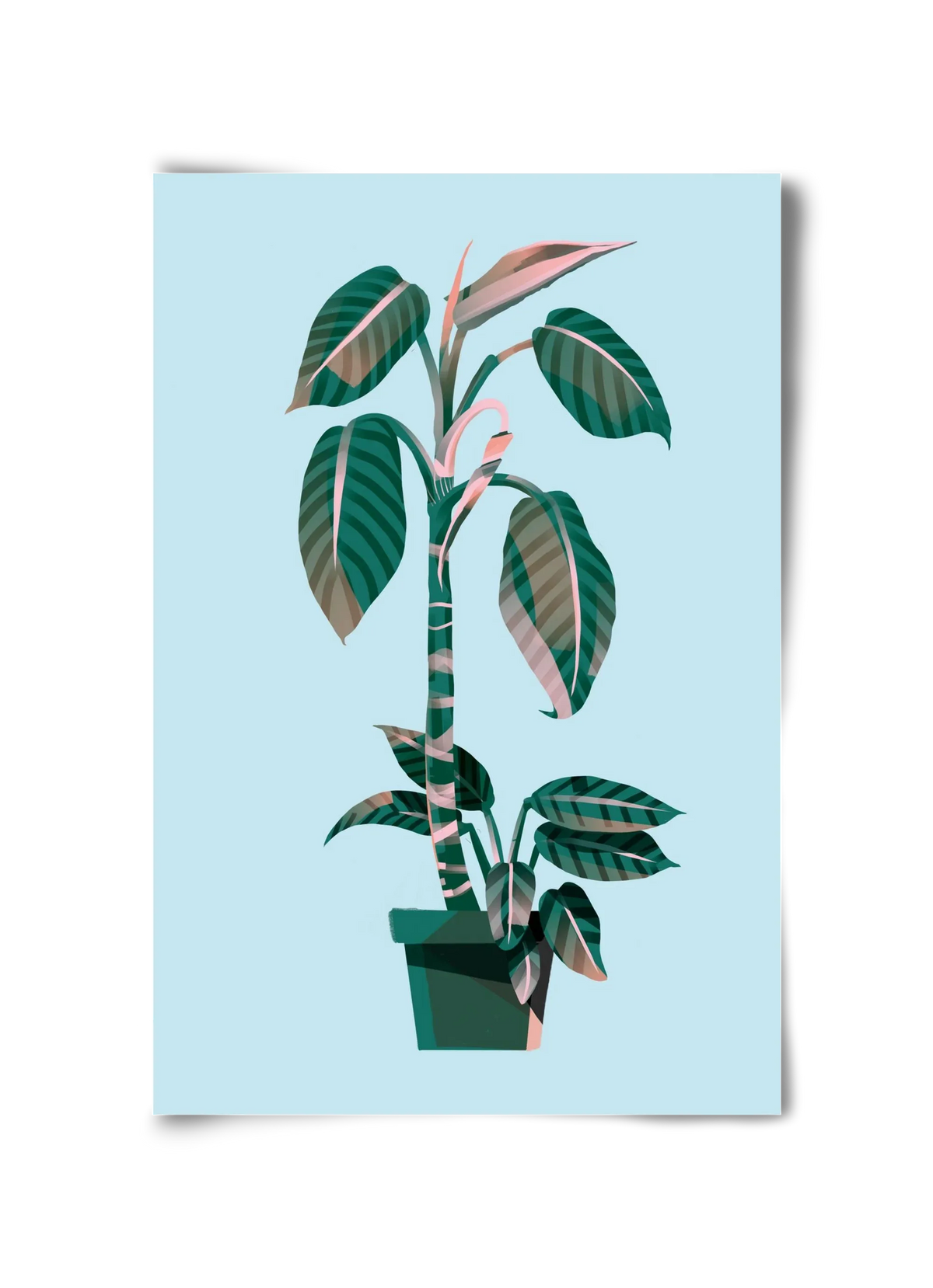 evergreen 01 - artbridge