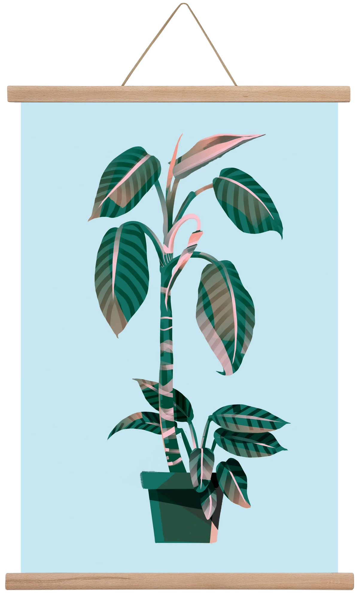 evergreen 01 - artbridge