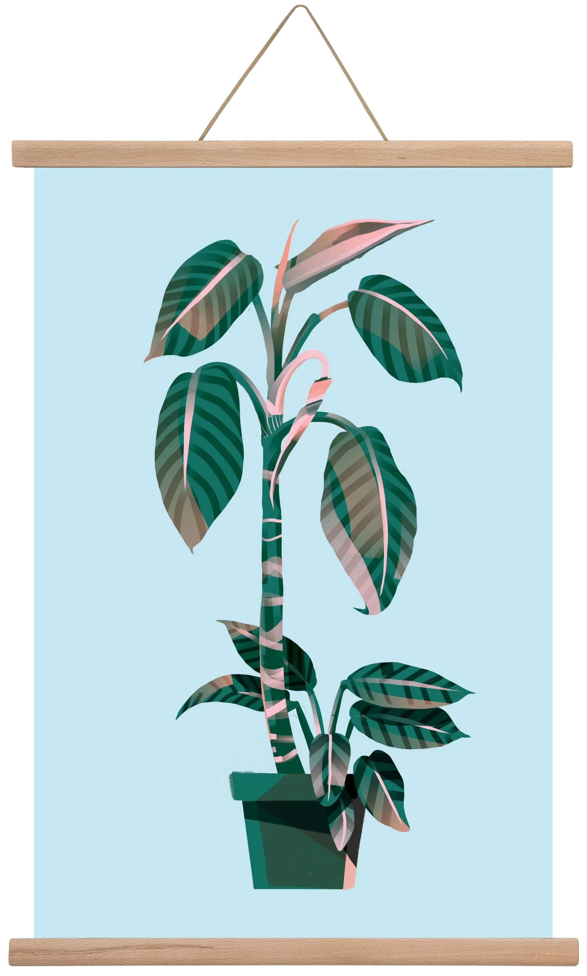 evergreen 01 - artbridge