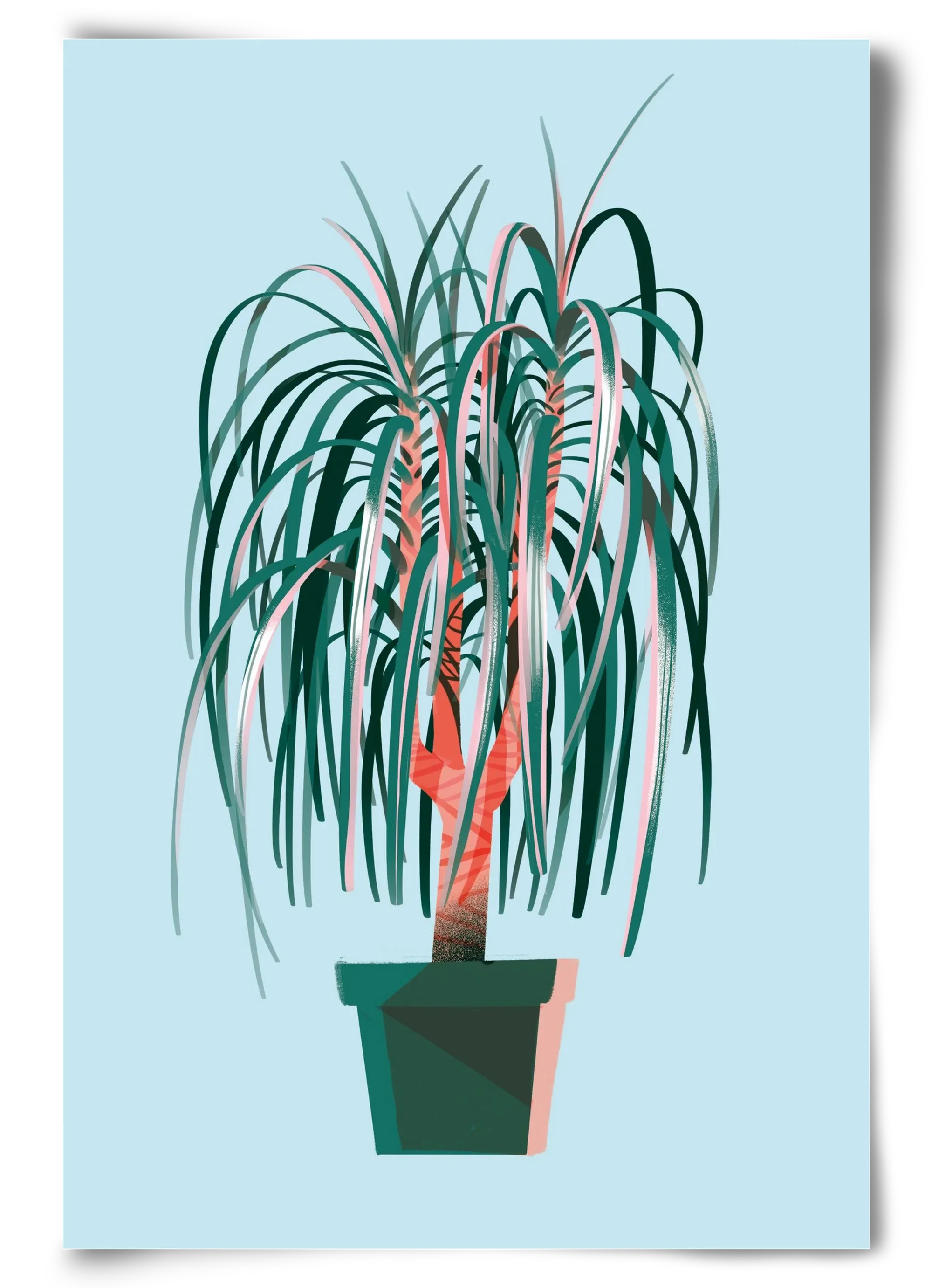 evergreen 03 - artbridge