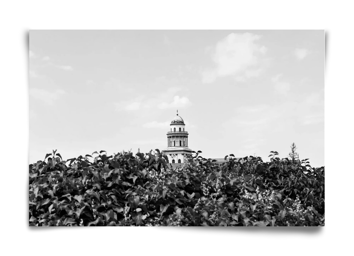 Pannonhalmi Főapátság - artbridge