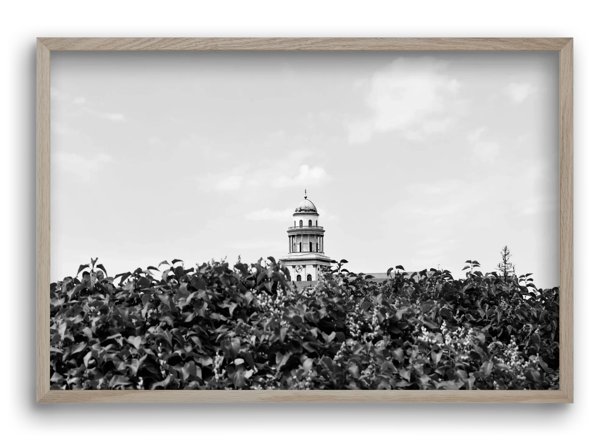Pannonhalmi Főapátság - artbridge