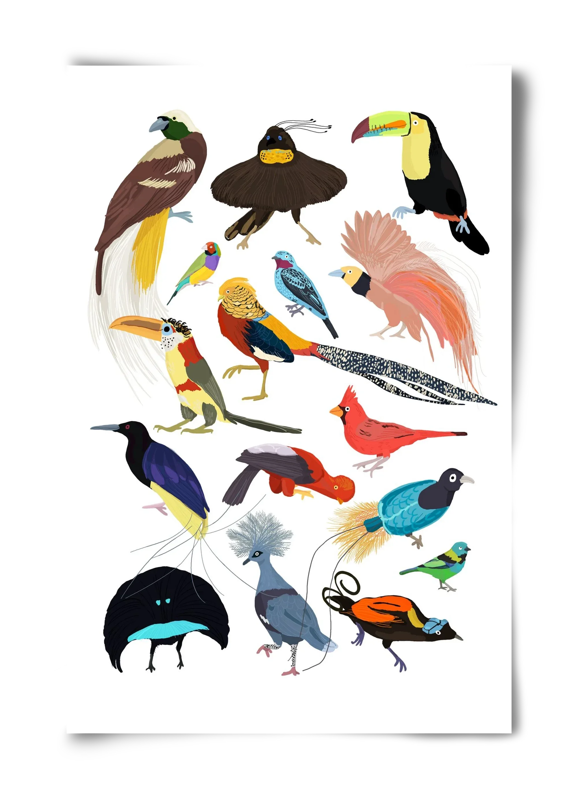 Birds of Prey - artbridge