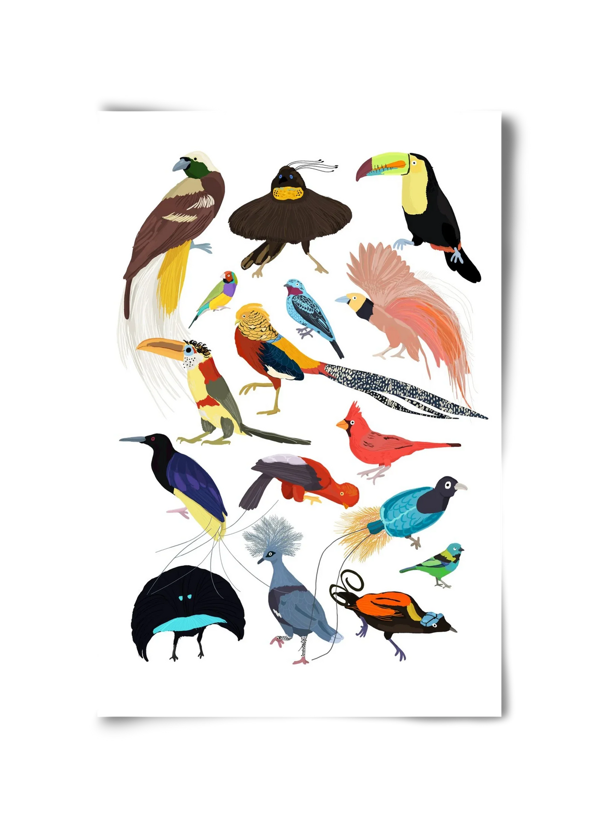 Birds of Prey - artbridge
