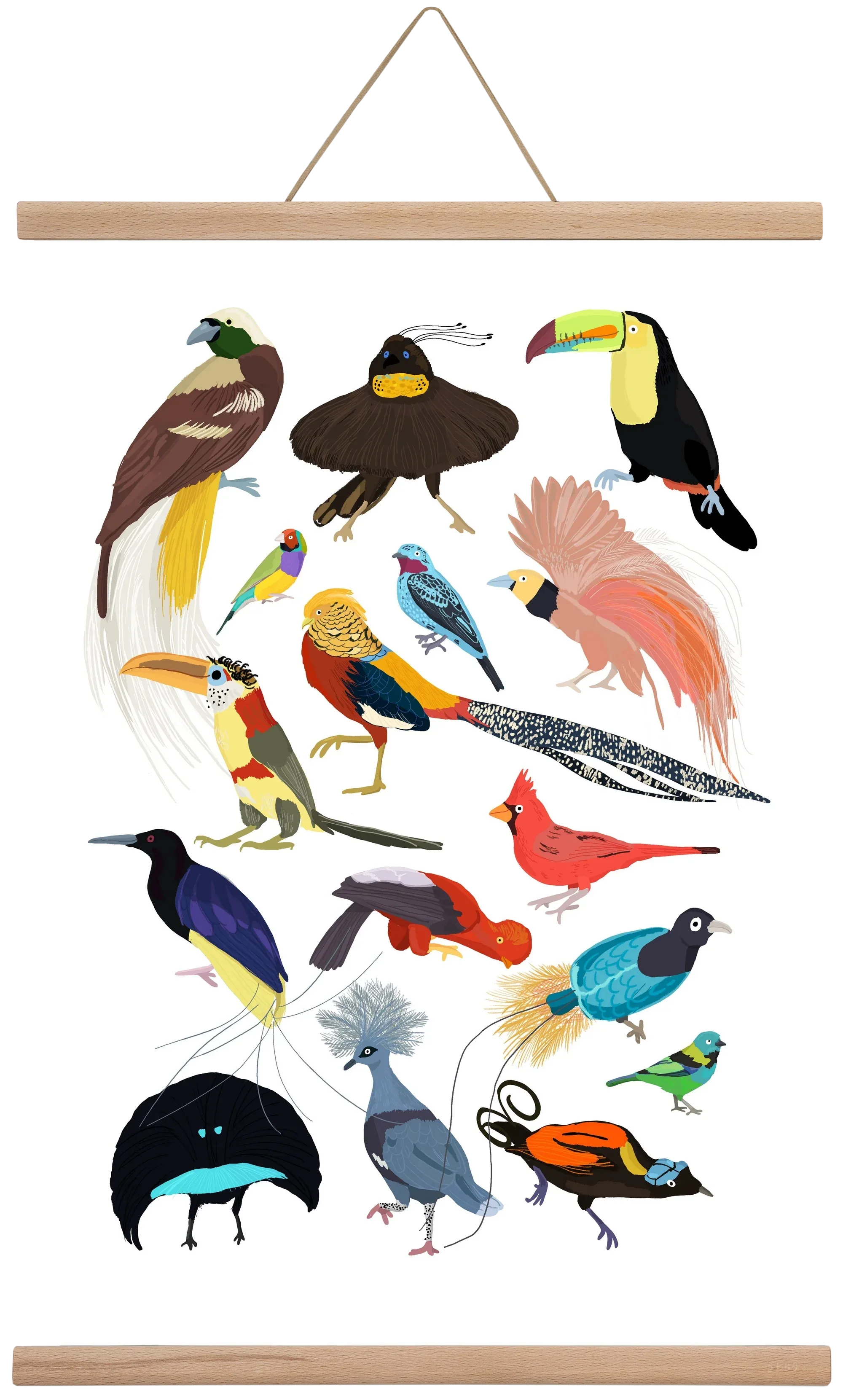 Birds of Prey - artbridge