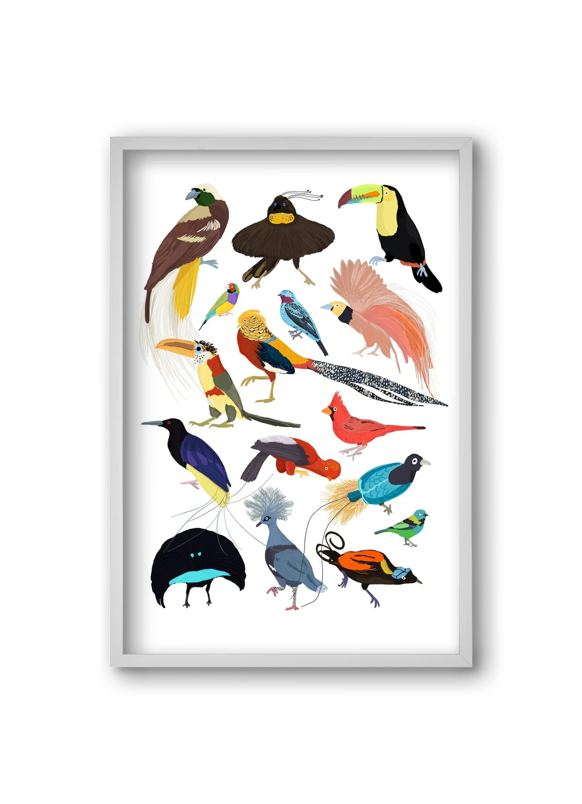 Birds of Prey - artbridge