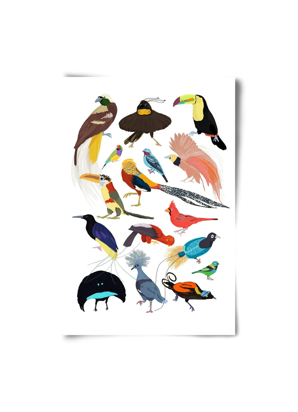 Birds of Prey - artbridge