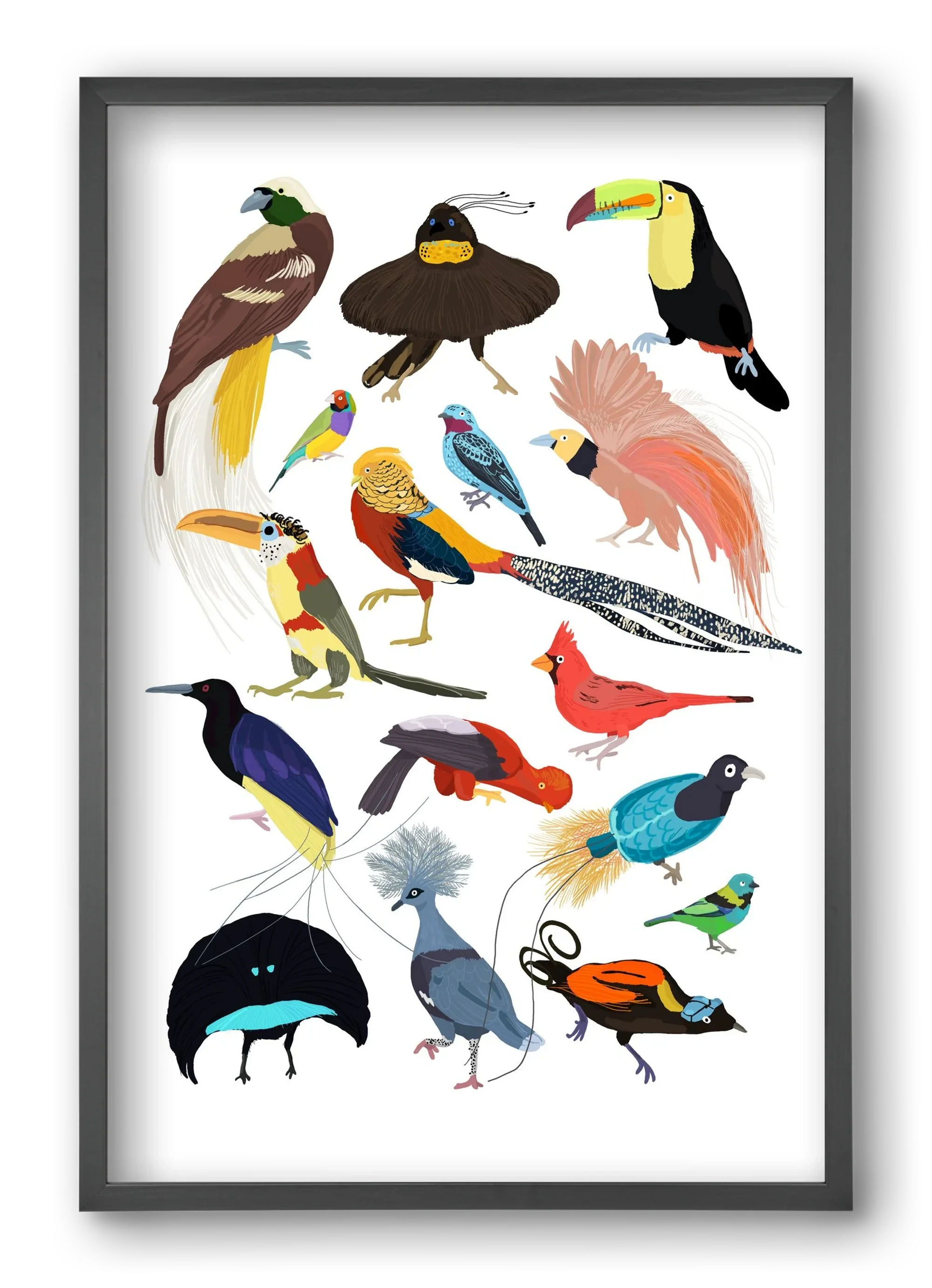 Birds of Prey - artbridge