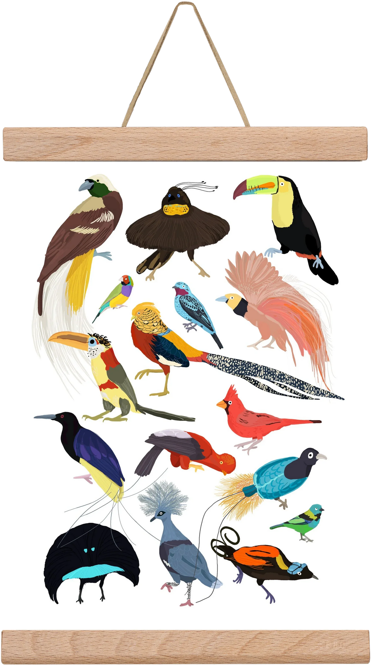 Birds of Prey - artbridge