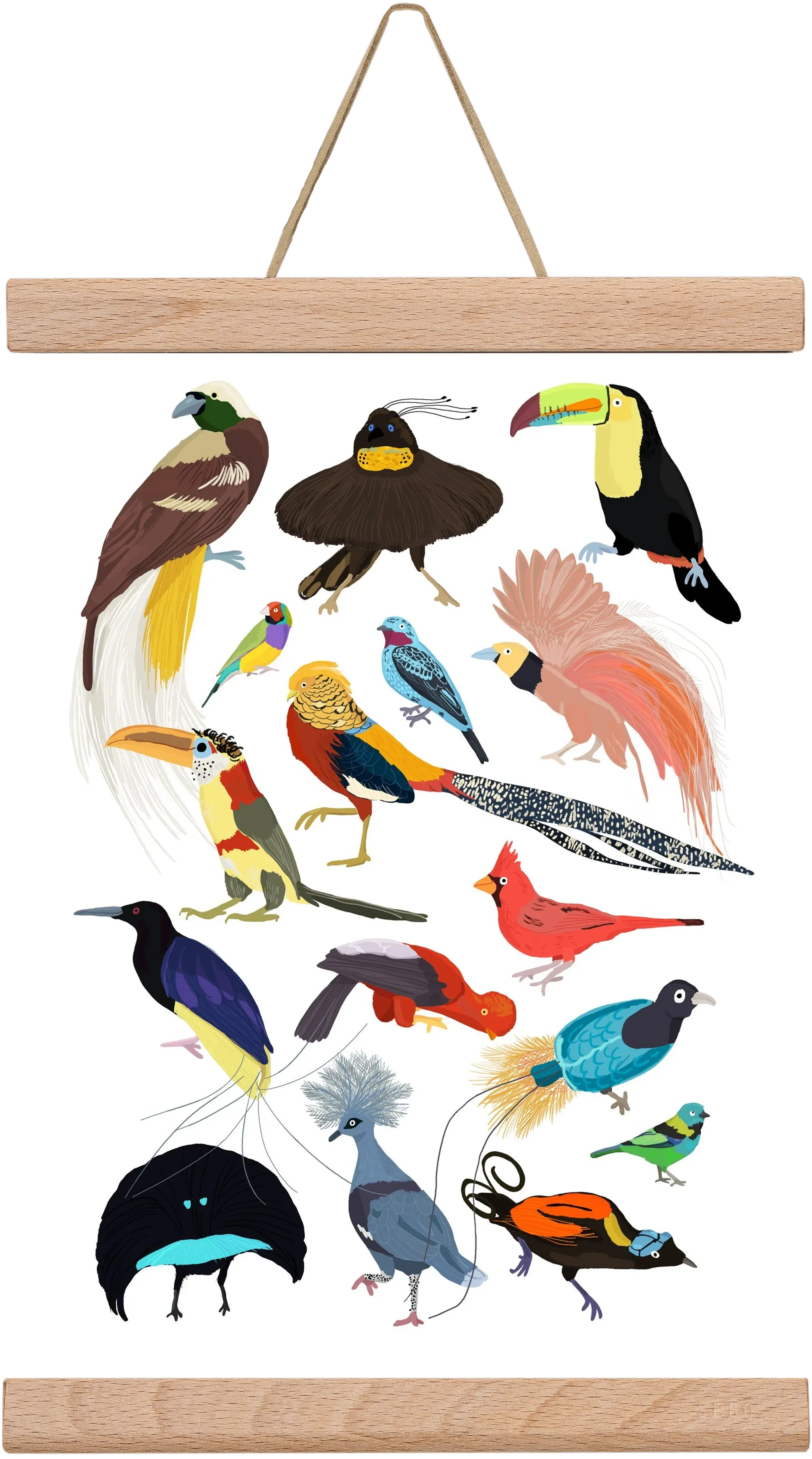 Birds of Prey - artbridge